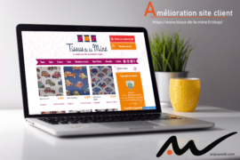 Amélioration site : ecommerce