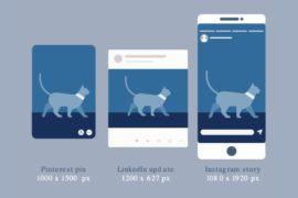 Guide 2021 des tailles d’images pour les réseaux sociaux