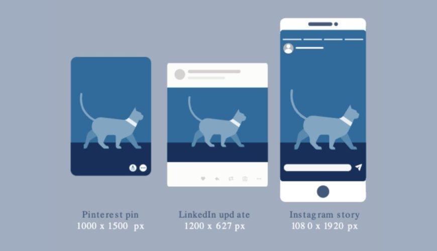 Guide 2021 des tailles d’images pour les réseaux sociaux