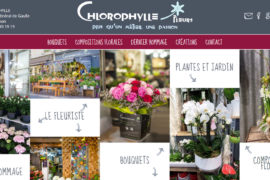 Chlorophylle, fleuriste à Chinon (37)