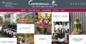 Chlorophylle, fleuriste à Chinon (37)