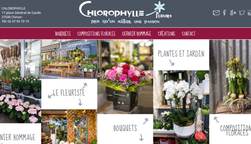 Chlorophylle, fleuriste à Chinon (37)