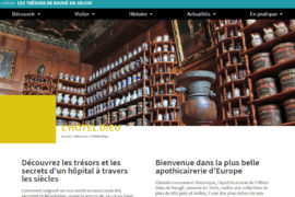 Château de Baugé & Hôtel Dieu