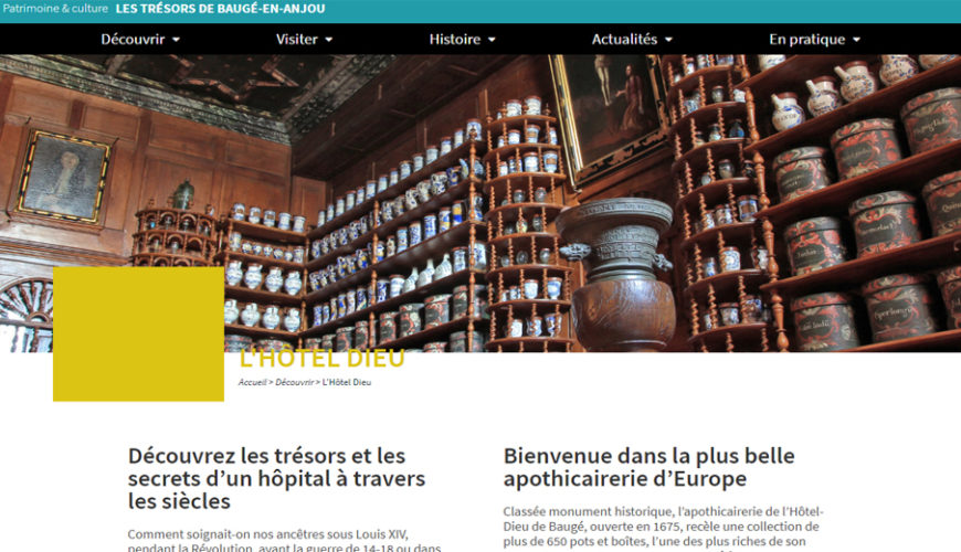 Château de Baugé & Hôtel Dieu